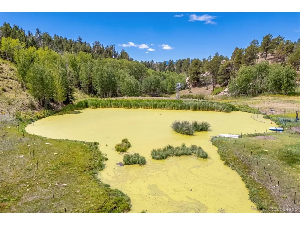 242 Poplar Lane Guffey, CO 80820