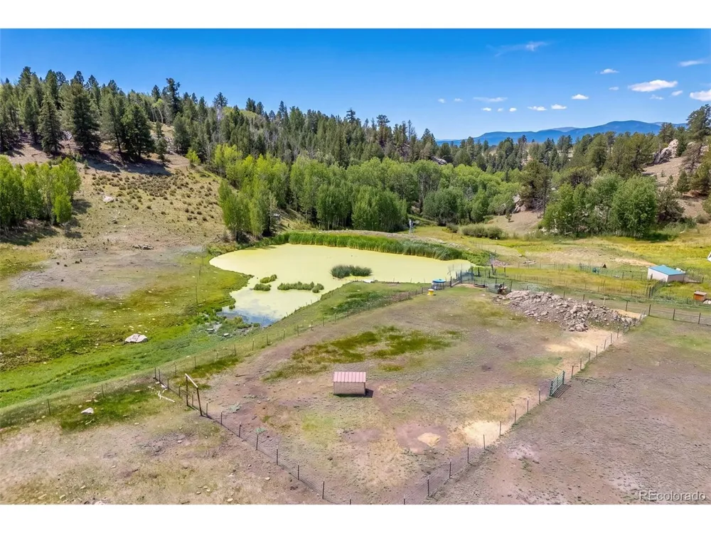 242 Poplar Lane Guffey, CO 80820