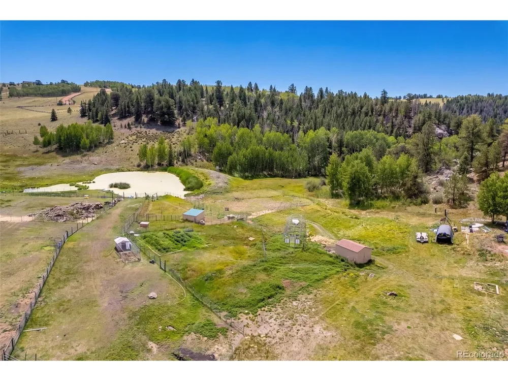 242 Poplar Lane Guffey, CO 80820