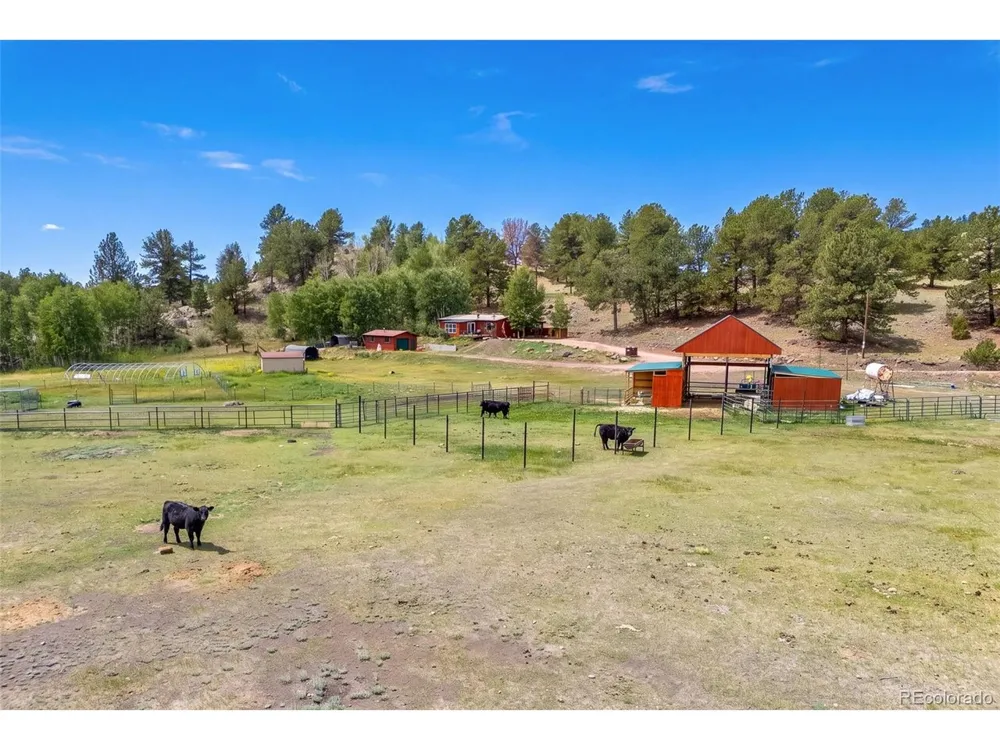 242 Poplar Lane Guffey, CO 80820