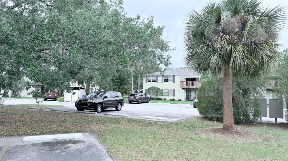 131 SABAL COURT #E Oldsmar, FL 34677