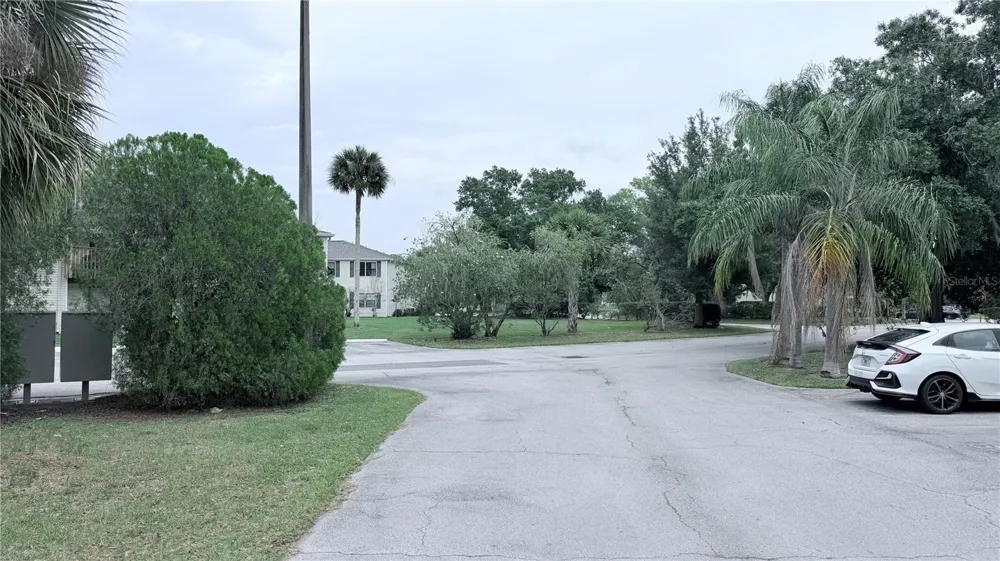 131 SABAL COURT #E Oldsmar, FL 34677