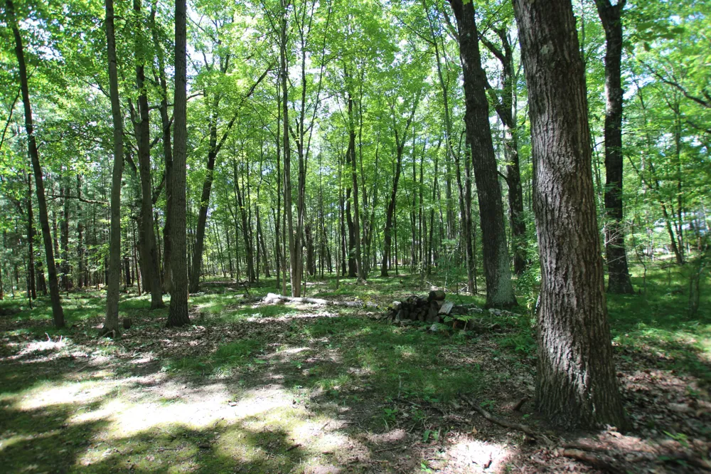 19291 Ottawa Lane Big Rapids Charter Township, MI 49307