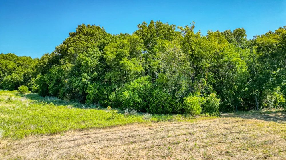Life Drive Weatherford, TX 76088