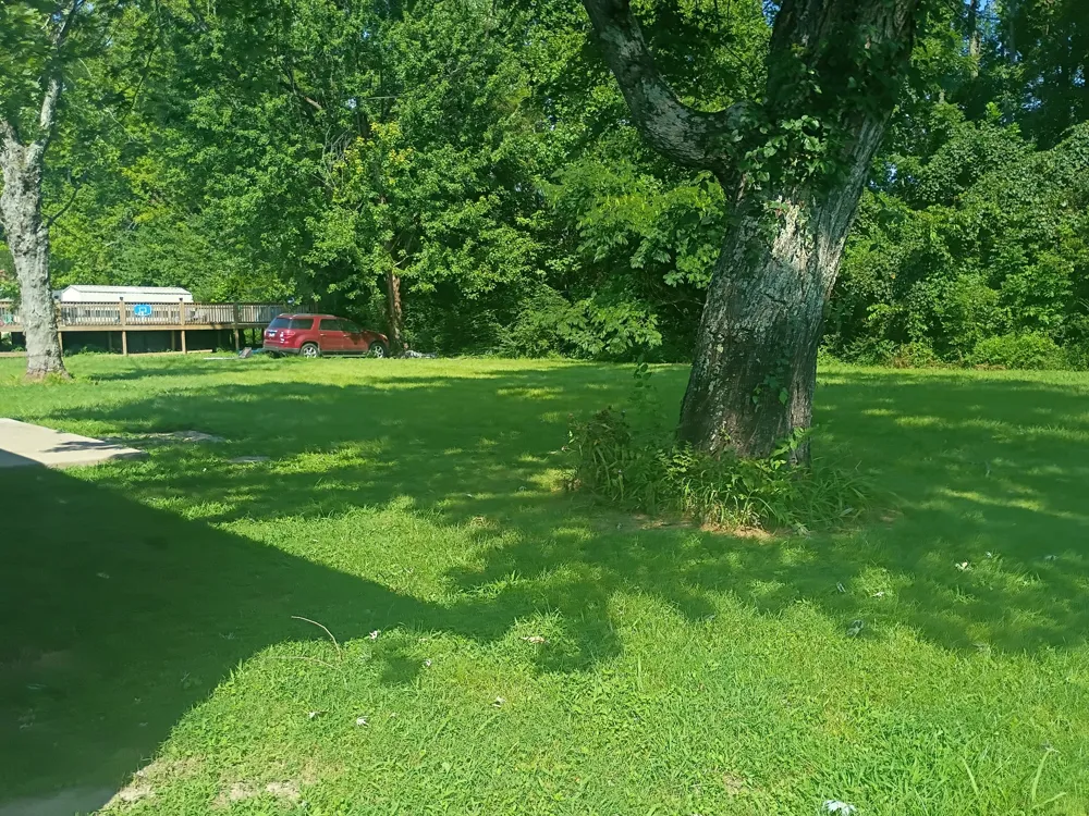 203 Sunset Dr Waverly, TN 37185