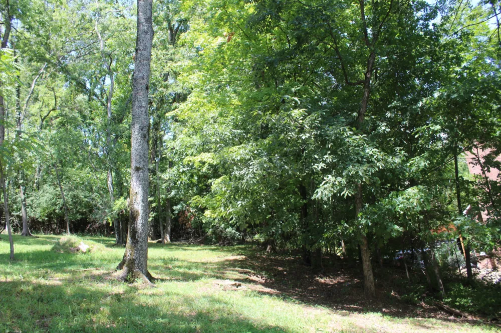 0 Spy Glass Way Hendersonville, TN 37075