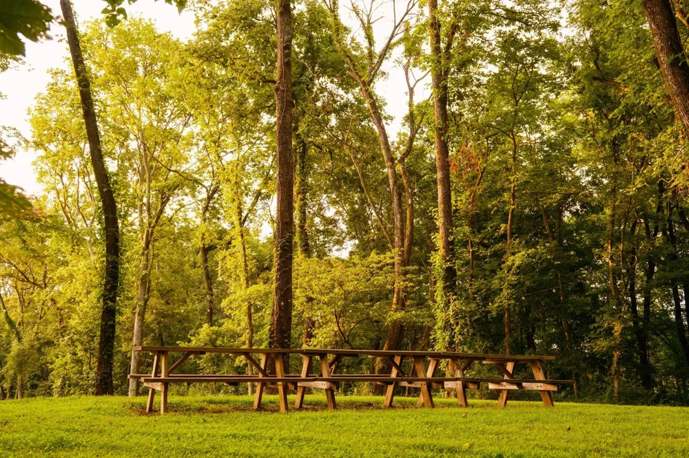 1489 Old Tva Rd Columbia, TN 38401