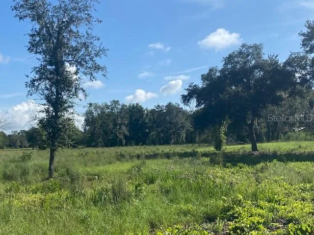 5840 BOB SMITH AVENUE Plant City, FL 33565