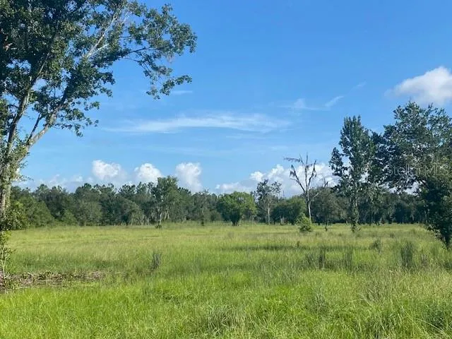5840 BOB SMITH AVENUE Plant City, FL 33565