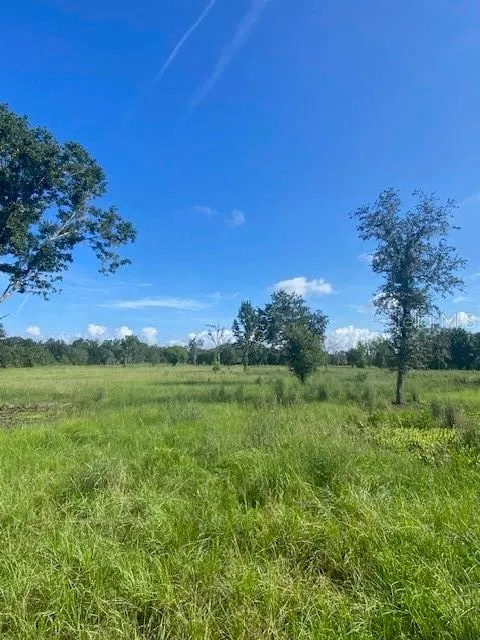 5840 BOB SMITH AVENUE Plant City, FL 33565