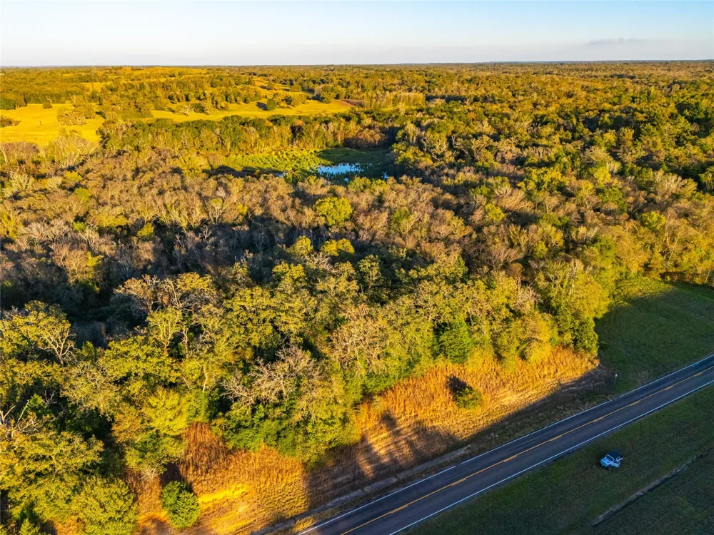 Interstate 45 Buffalo, TX 75831