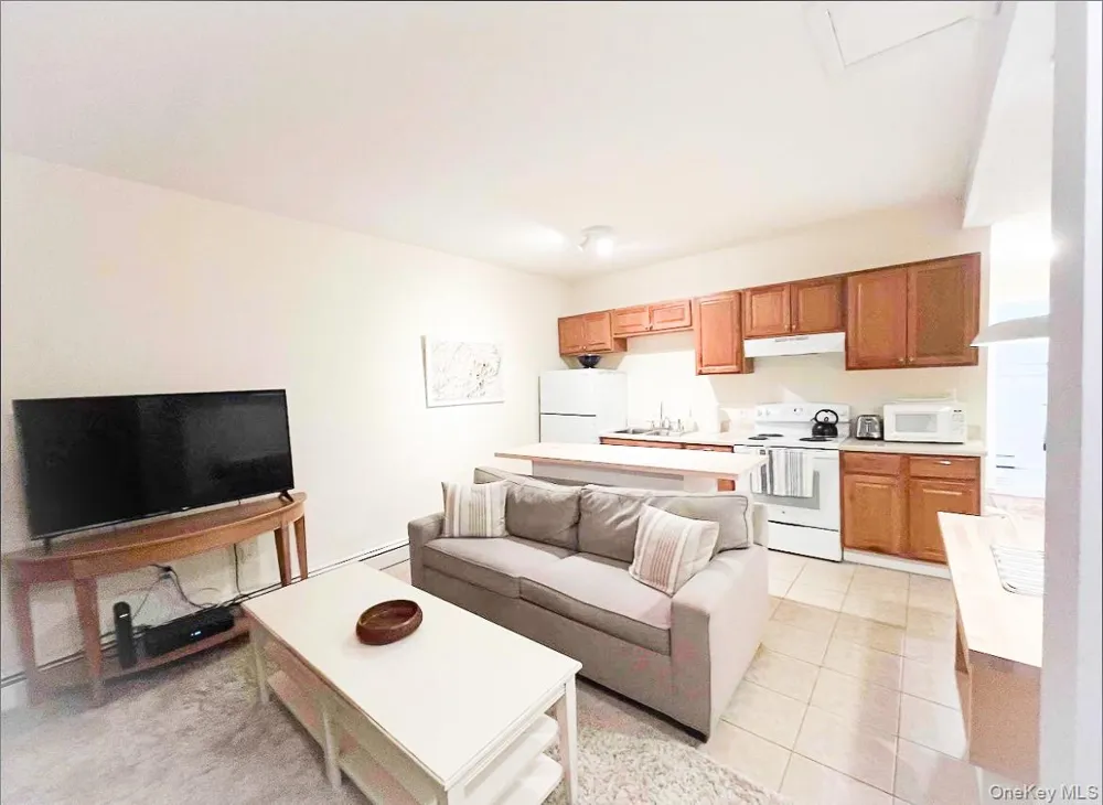 23 Pearl Street #4 Livingston Manor, NY 12758