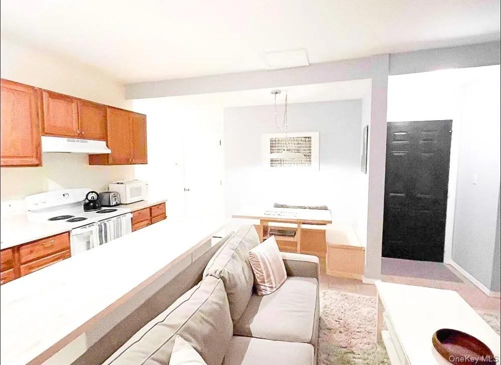 23 Pearl Street #4 Livingston Manor, NY 12758