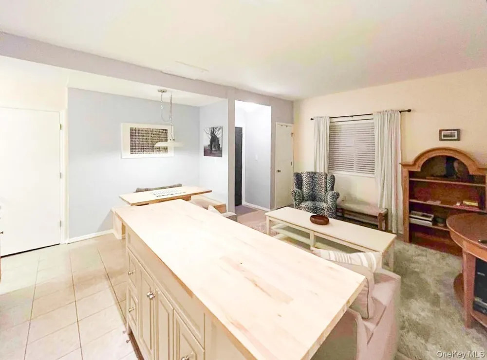23 Pearl Street #4 Livingston Manor, NY 12758