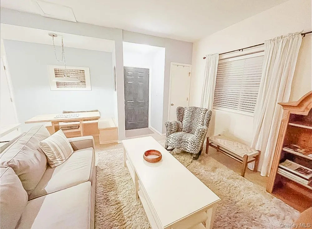 23 Pearl Street #4 Livingston Manor, NY 12758