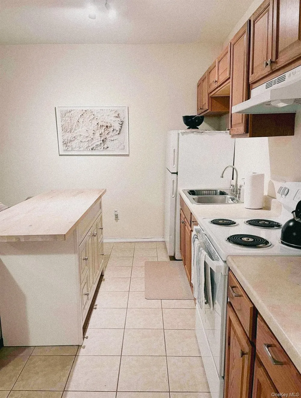 23 Pearl Street #4 Livingston Manor, NY 12758