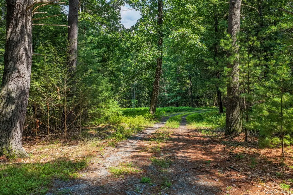Lot 55.1 Swanerbury Road Glen Spey, NY 12737