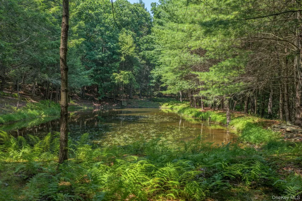Lot 55.1 Swanerbury Road Glen Spey, NY 12737