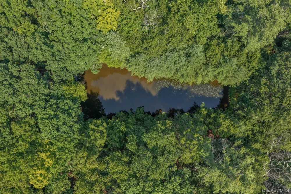 Lot 55.1 Swanerbury Road Glen Spey, NY 12737