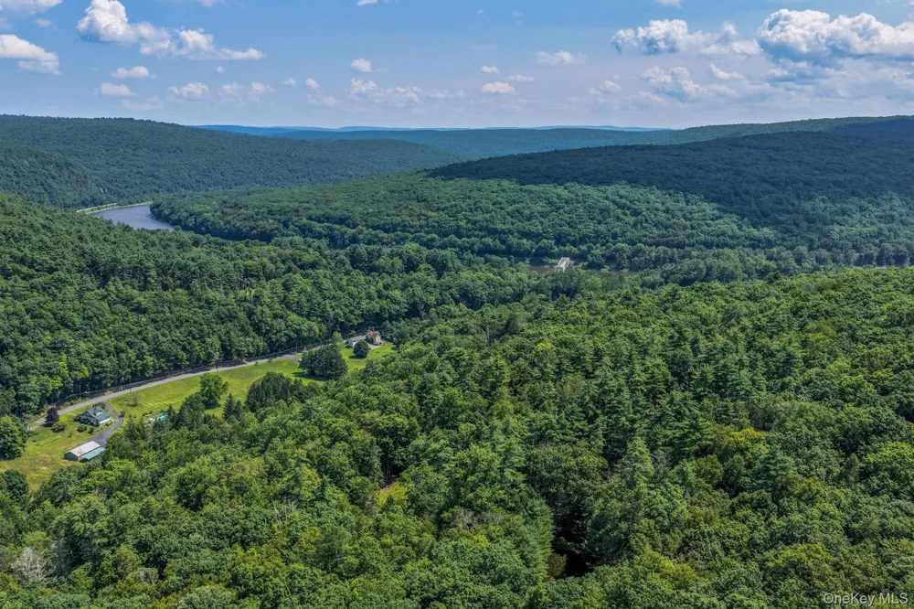 Lot 55.1 Swanerbury Road Glen Spey, NY 12737