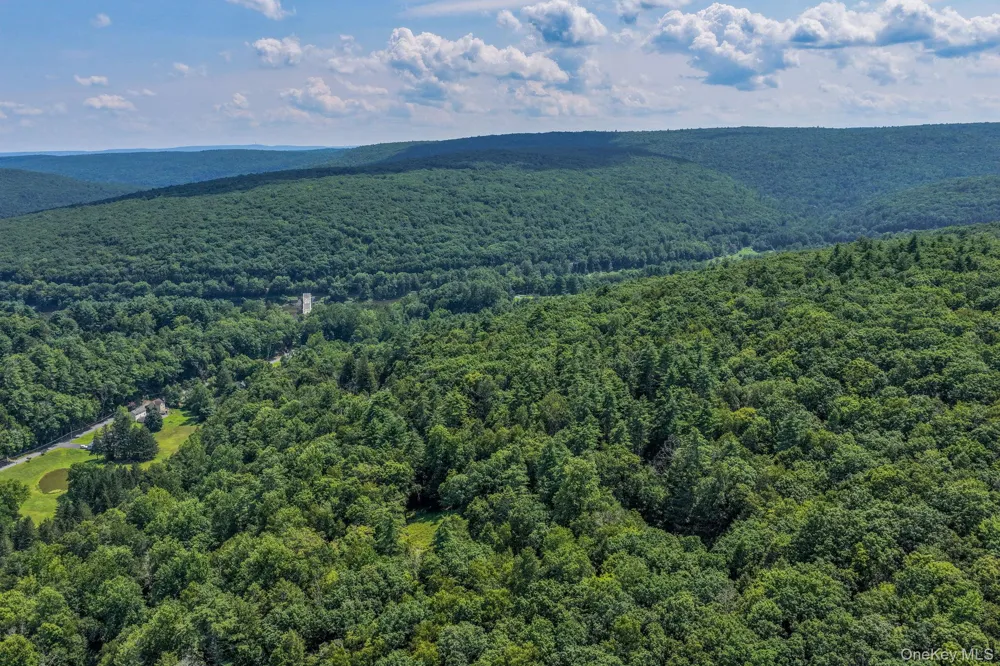 Lot 55.1 Swanerbury Road Glen Spey, NY 12737