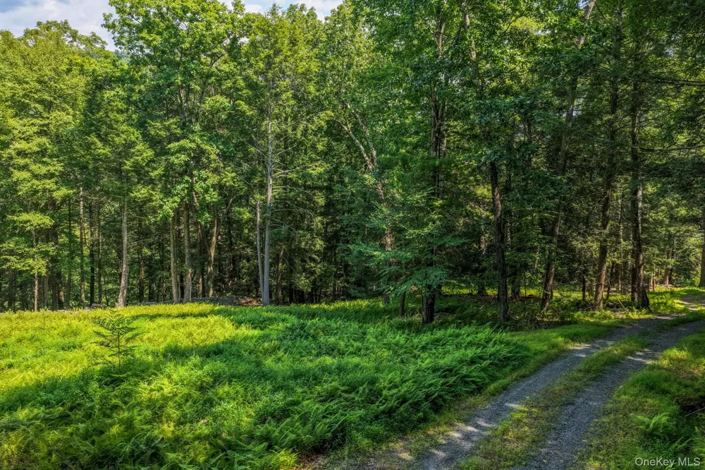 Lot 55.1 Swanerbury Road Glen Spey, NY 12737