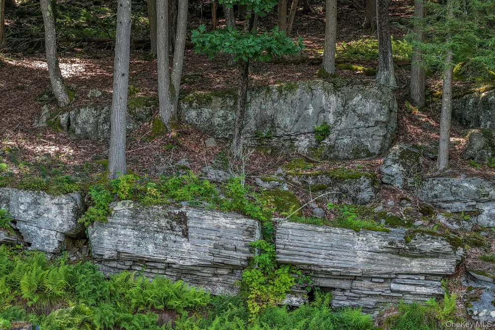 Lot 55.1 Swanerbury Road Glen Spey, NY 12737