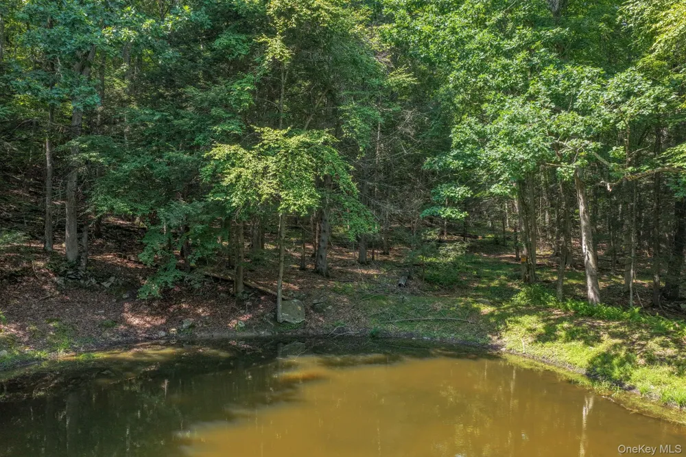 Lot 55.1 Swanerbury Road Glen Spey, NY 12737