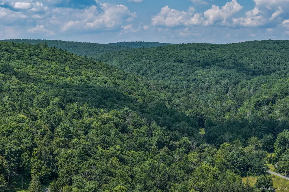Lot 55.1 Swanerbury Road Glen Spey, NY 12737