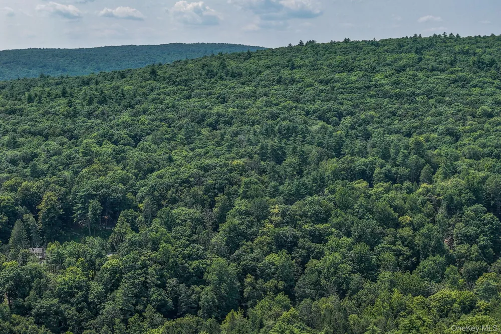 Lot 55.1 Swanerbury Road Glen Spey, NY 12737