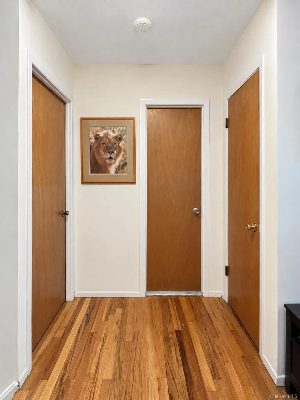 1340 Mac Donough Place Bronx, NY 10465