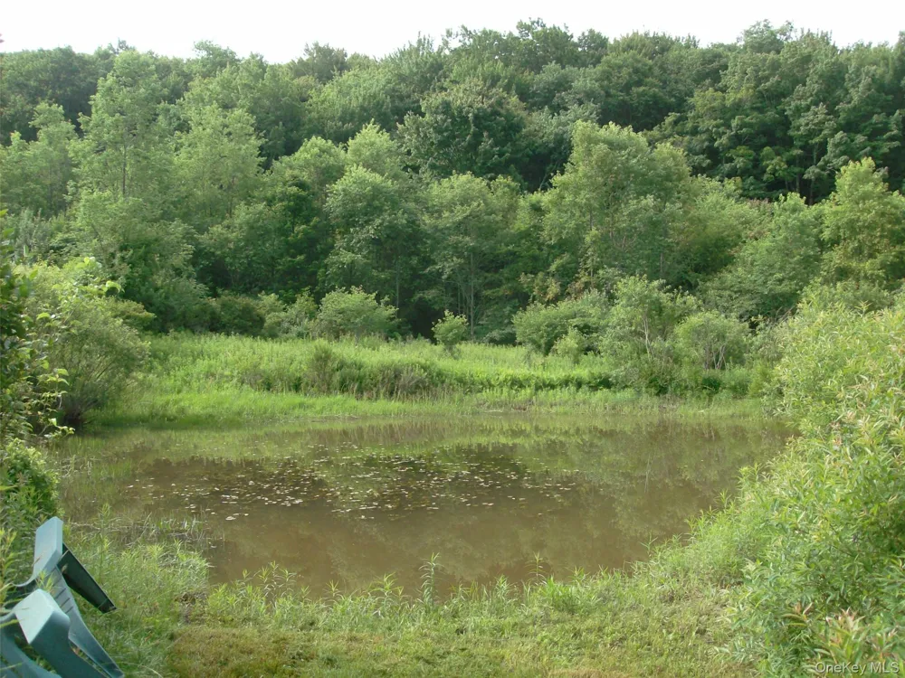 5176 Campbell Brook Road Downsville, NY 13755