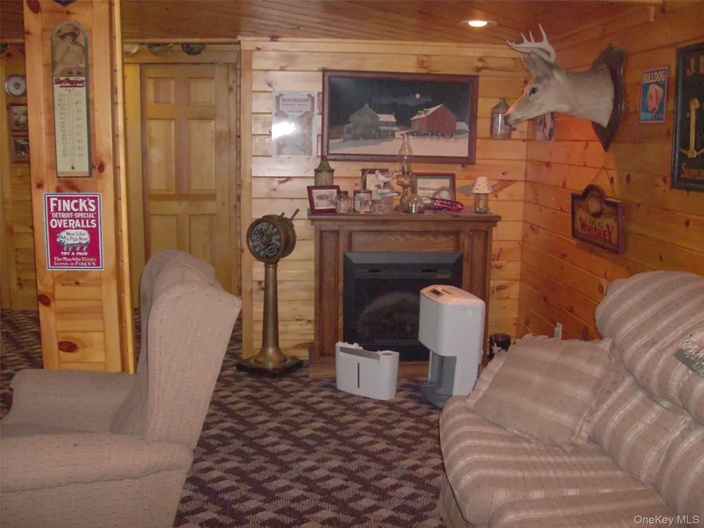 5176 Campbell Brook Road Downsville, NY 13755
