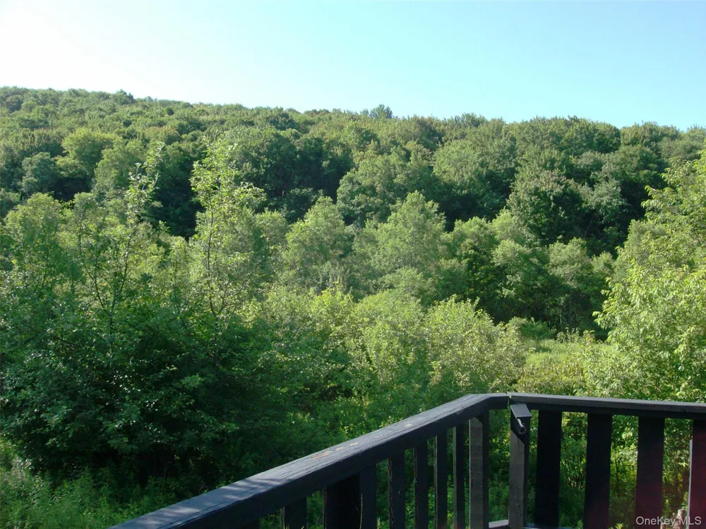 5176 Campbell Brook Road Downsville, NY 13755