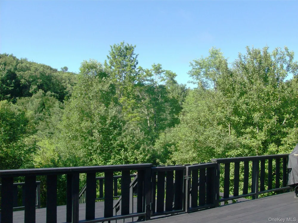 5176 Campbell Brook Road Downsville, NY 13755