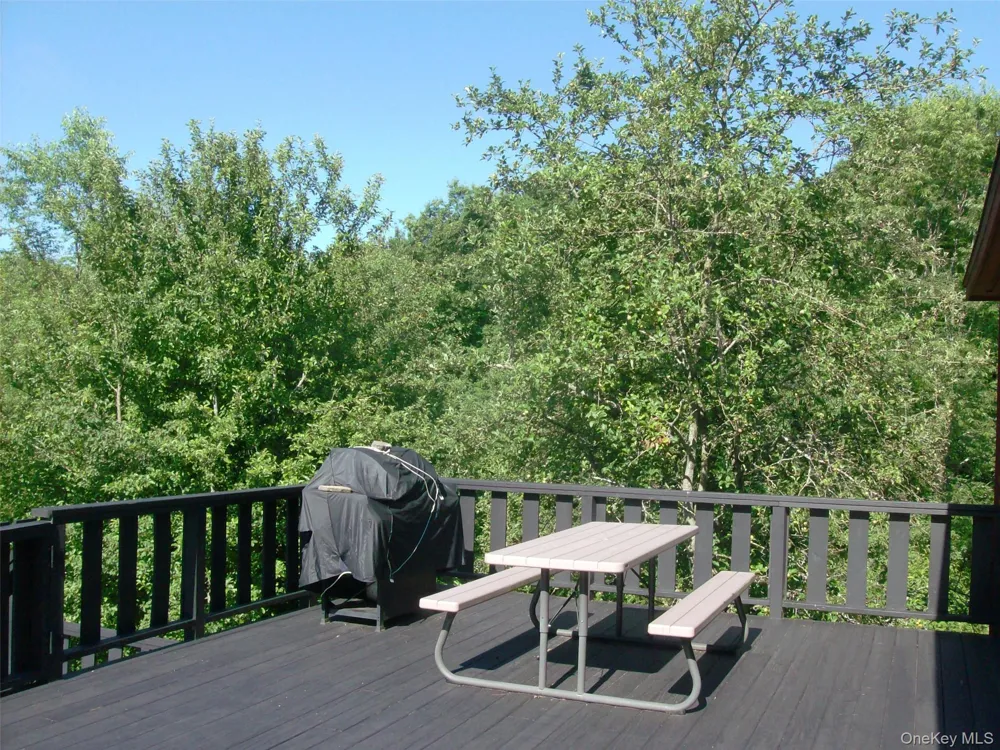 5176 Campbell Brook Road Downsville, NY 13755