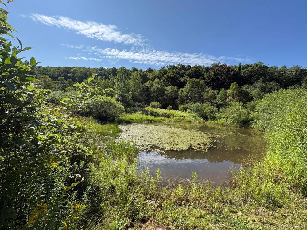 5176 Campbell Brook Road Downsville, NY 13755
