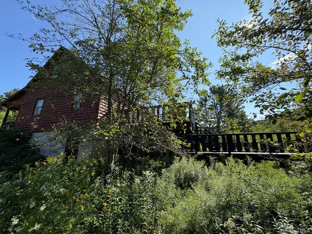 5176 Campbell Brook Road Downsville, NY 13755