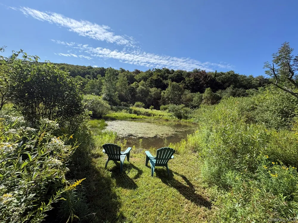 5176 Campbell Brook Road Downsville, NY 13755