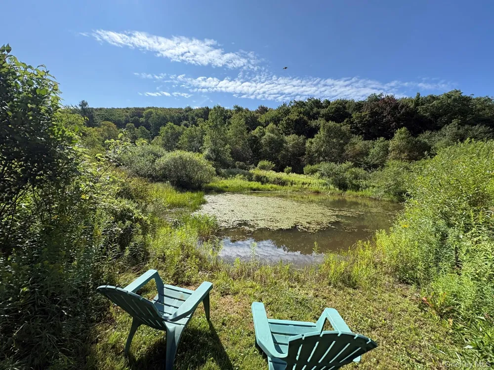5176 Campbell Brook Road Downsville, NY 13755
