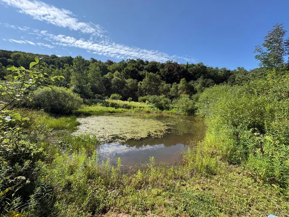 5176 Campbell Brook Road Downsville, NY 13755