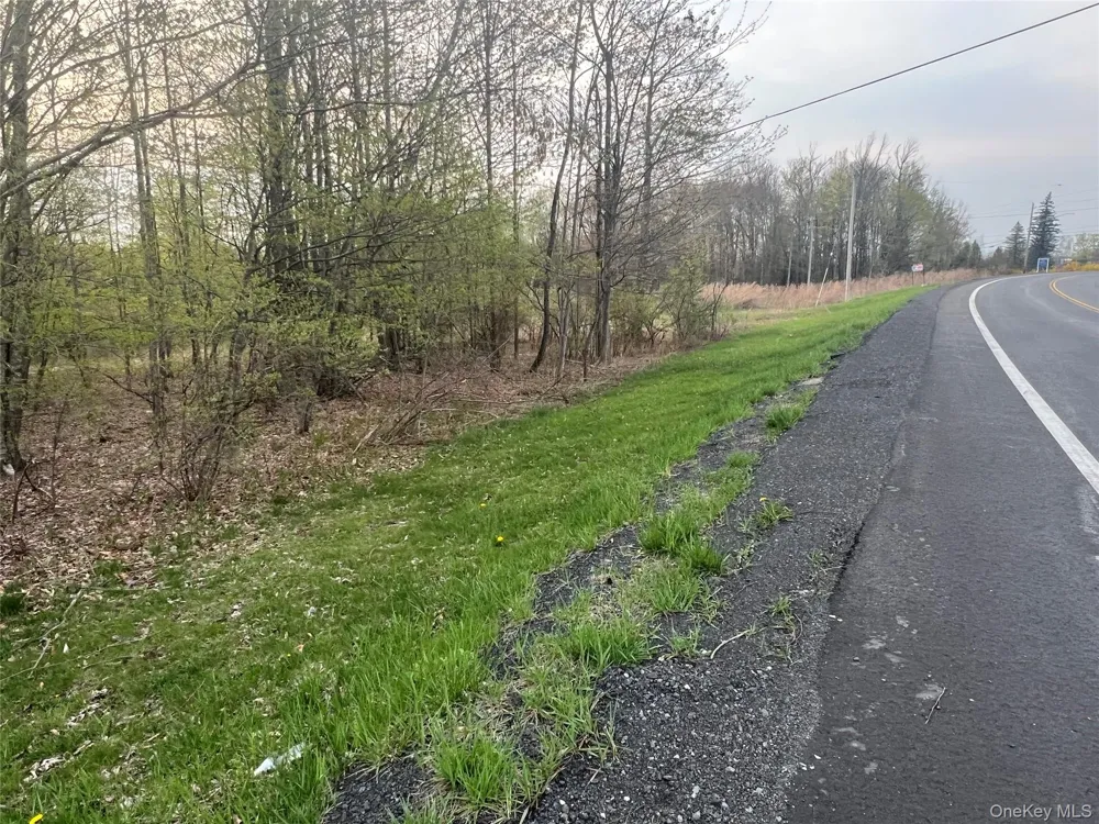 838 Old Liberty Road Monticello, NY 12701