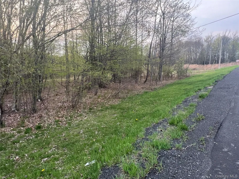 838 Old Liberty Road Monticello, NY 12701