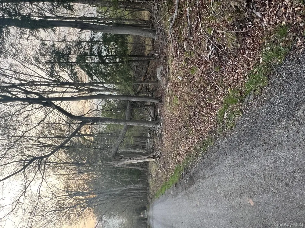 838 Old Liberty Road Monticello, NY 12701