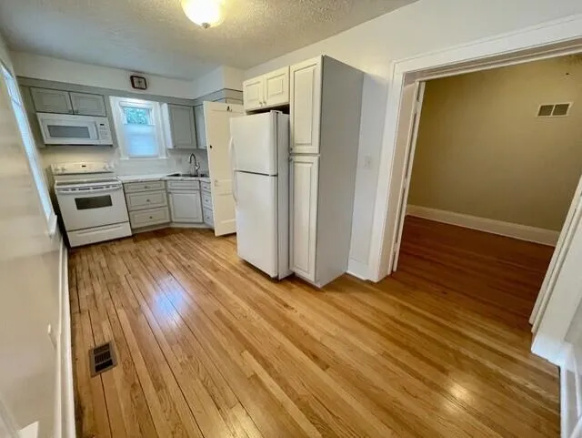 208 S Elm Street Three Oaks, MI 49128