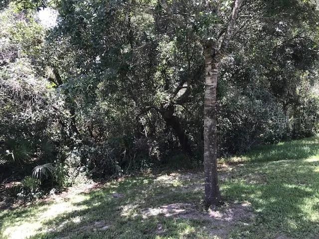 3078 VERBENA DRIVE Deltona, FL 32725