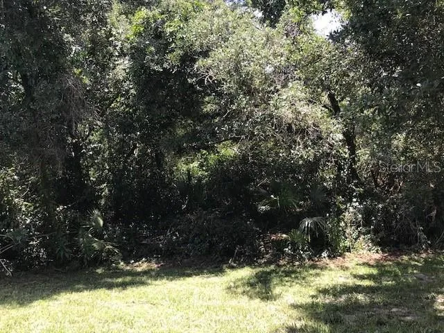 3078 VERBENA DRIVE Deltona, FL 32725
