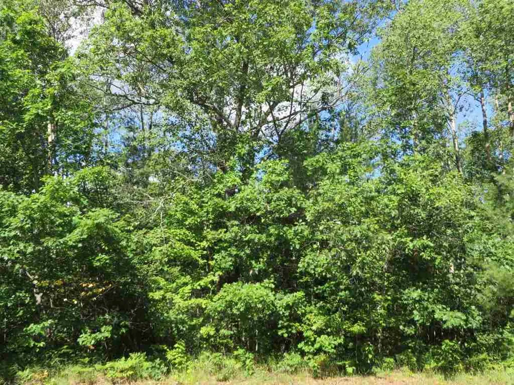 2143 E Log Lake Road Kalkaska Township, MI 49646