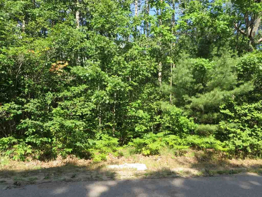2143 E Log Lake Road Kalkaska Township, MI 49646