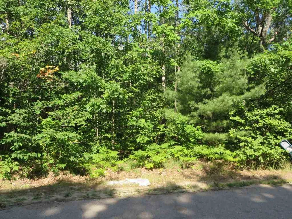 2143 E Log Lake Road Kalkaska Township, MI 49646
